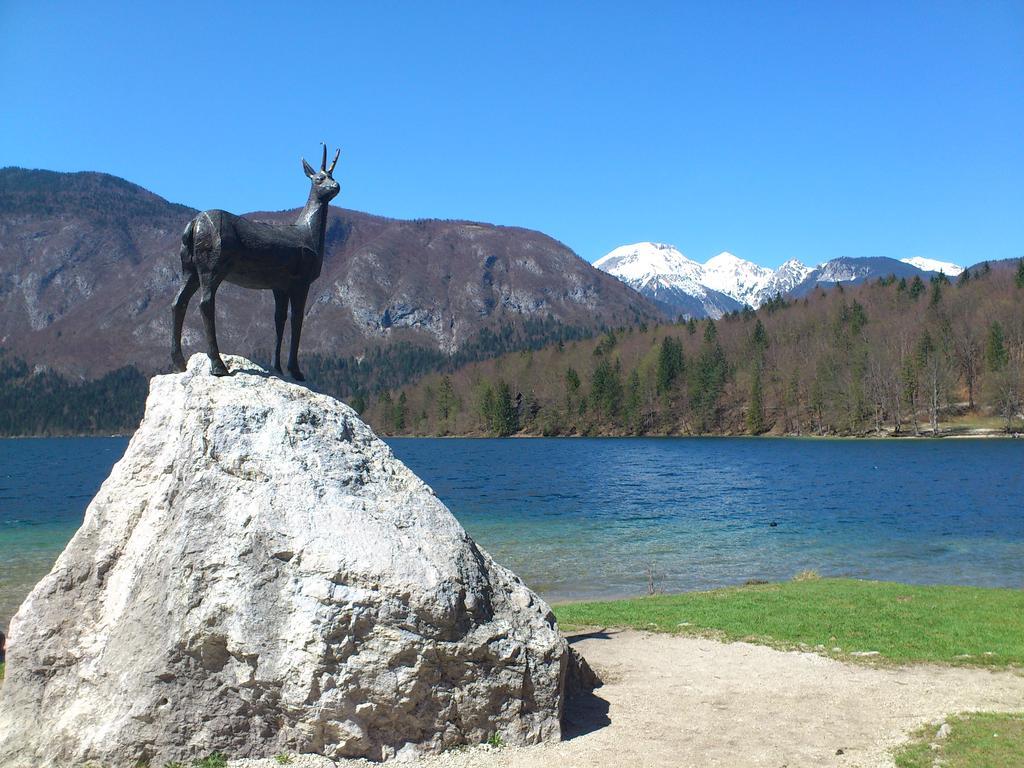 Apartment Bohinjko 外观 照片